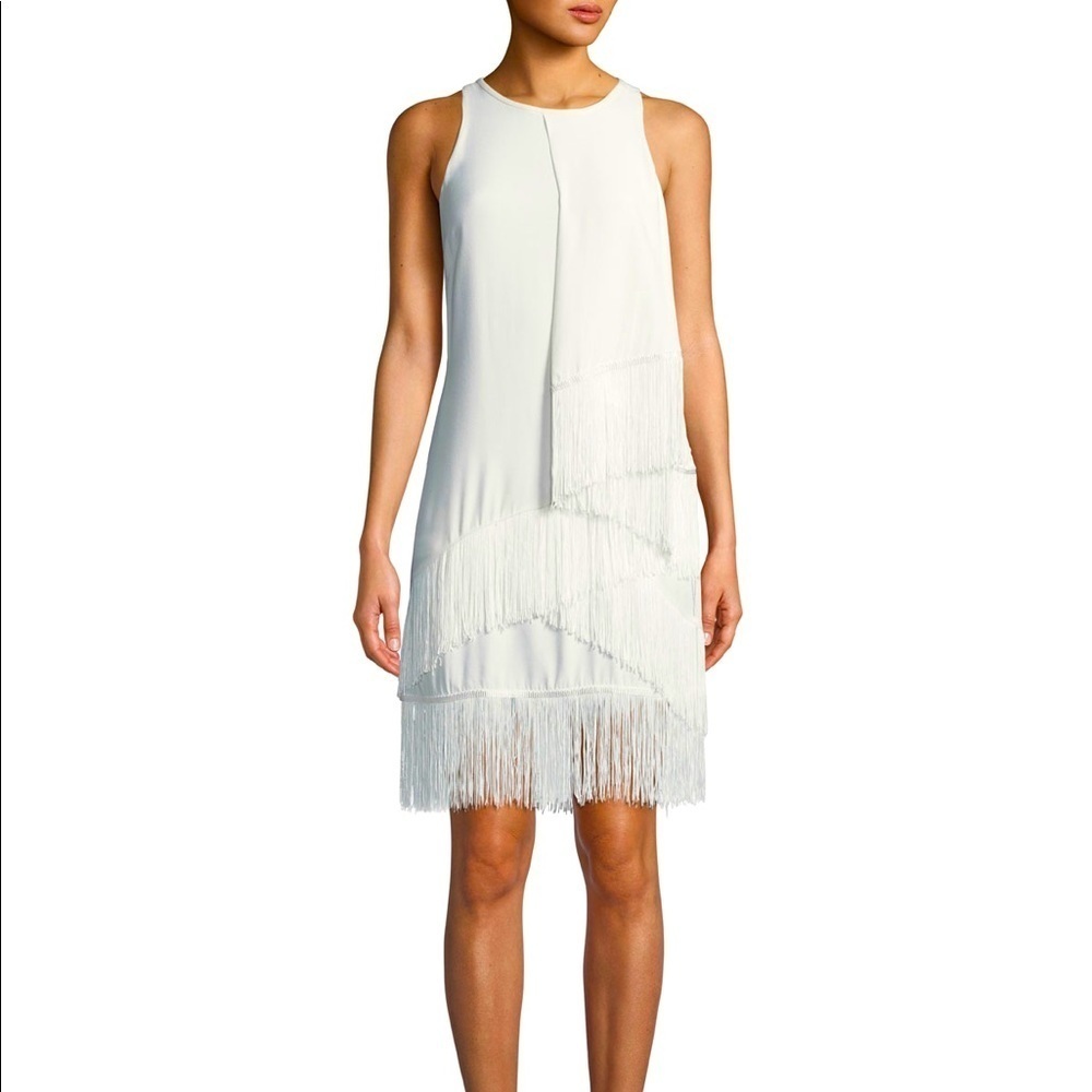 Joie Boho Amiyah Asymmetrical Fringe Sheath Dress